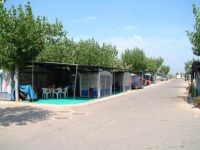 camping-delta-del-ebro-3