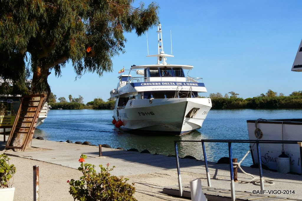 Cruceros en el Delta del Ebro