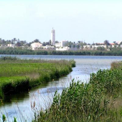 Poble Nou Del Delta 