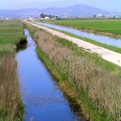 Acequia De Riego