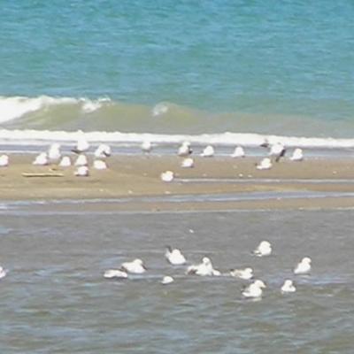 Agua Dulce Abajo Agua Salada Arriba